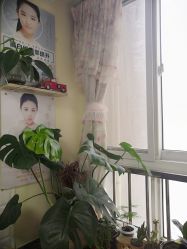 -美甲日记美睫专业纹绣半永久