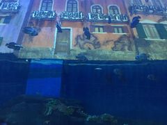 -华夏文旅海洋公园