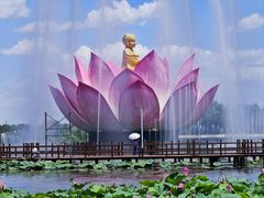 -荷花大观园