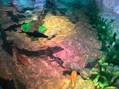 -沈阳海洋探索中心