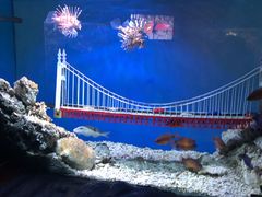 -太平洋海底世界