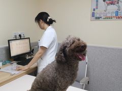 -谐和贝康宠物医院24小时·宠保定点(急重症转诊中心)