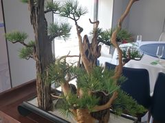-顺峰(农展馆店)