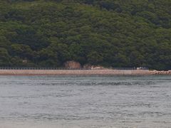 -青澳湾北回归线广场