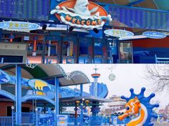 -海合安青岛极地海洋公园