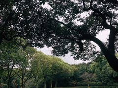 -西郊宾馆·1921餐厅