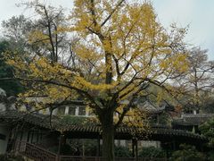 -无锡惠山寺