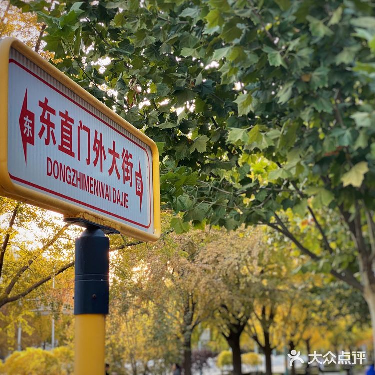 三里屯东五街的银杏大道,我没进去