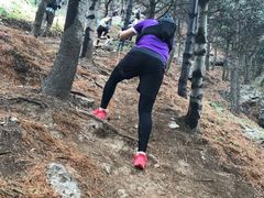 -阳台山自然风景区