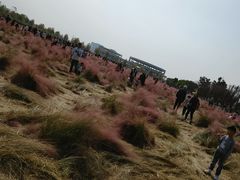 -映月湖中央公园