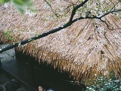 -中国茶叶博物馆(双峰馆区)