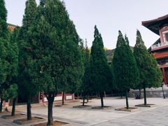 -龙口南山旅游景区