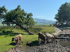 -新疆那拉提国家旅游度假区