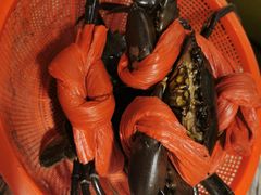 -传统香辣蟹(南园路店)