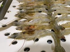 -义乌之心城市生活广场