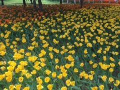 -长春公园(普阳街道)