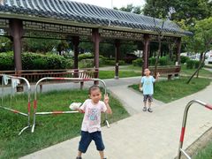 -飞来湖湿地公园