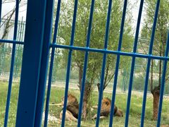 -鄂尔多斯野生动物园