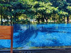 -三亚湾海居铂尔曼度假酒店