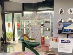 -小猫来了·猫咪专售(红山六九七九店)