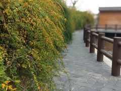 -黄陂区野村谷景区