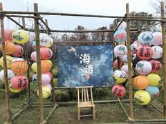 -上海海湾国家森林公园