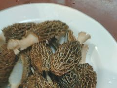 -菌之家·专业纯野生菌火锅·特色炒菌