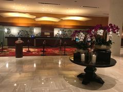 -新加坡瑞士史丹福酒店