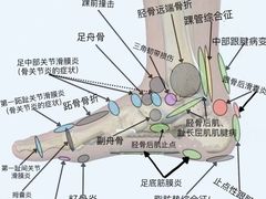 -体博士·疼痛调理·体态矫正·运动康复中心(大望路华贸店)