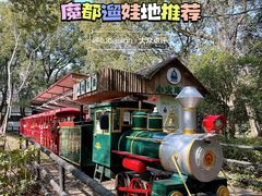 -上海共青森林公园