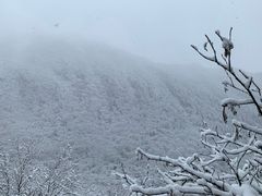 -黄龙山原始森林景区