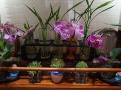 -街角 T·COFFEE 融合料理·BISTRO(车公庙店)