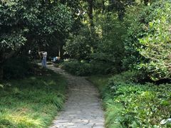 -上海植物园-4号门售票处