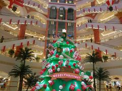 -COS(月星环球港店)