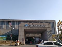 -武汉关码头(轮渡站)