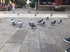 -穹窿山景区