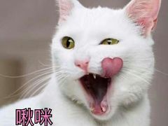 -螺小胖柳州螺蛳粉(钟楼总店)