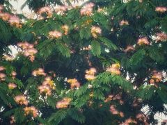 -南京金牛湖风景区