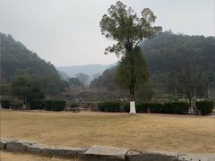 -桃花岭景区