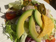 吞拿鱼牛油果沙拉-Cactus墨西哥仙人掌餐厅