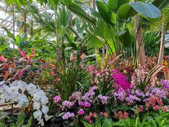 -北京植物园-展览温室