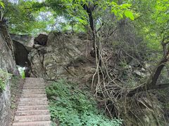 -西安祥峪森林公园