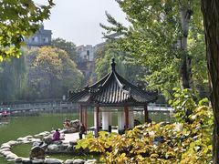-莲湖公园