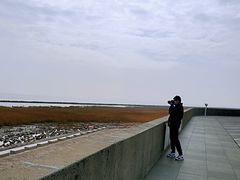 -南汇嘴观海公园