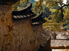 -杨家堂村