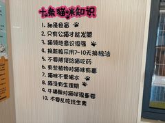 -唐小姐の私宠·宠物洗护美容·撸猫馆·购宠(周浦万达旗舰店)