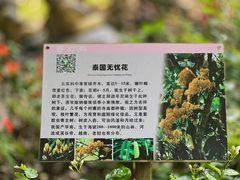 -中国科学院西双版纳热带植物园