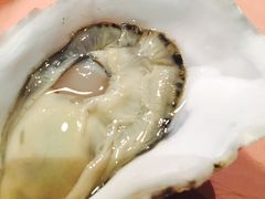 -Oyster Talks 四度蚝法餐厅