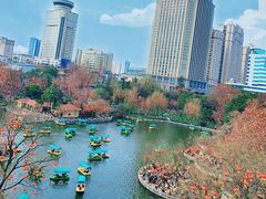 -绵阳人民公园(涪城区)