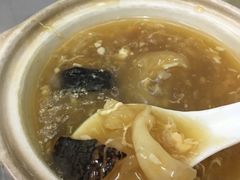 招牌海参鱼肚煲仔-添發碗仔翅美食